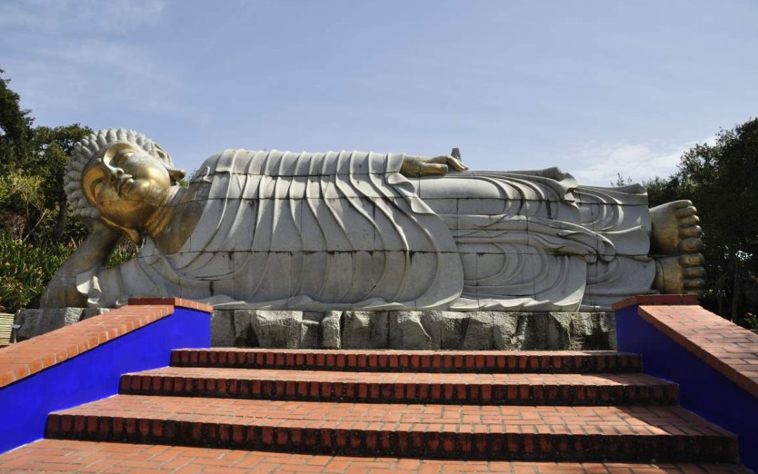 Viaje a Buddha Eden, Óbidos y Tomar (Portugal) 2023 > Reportaje fotográfico